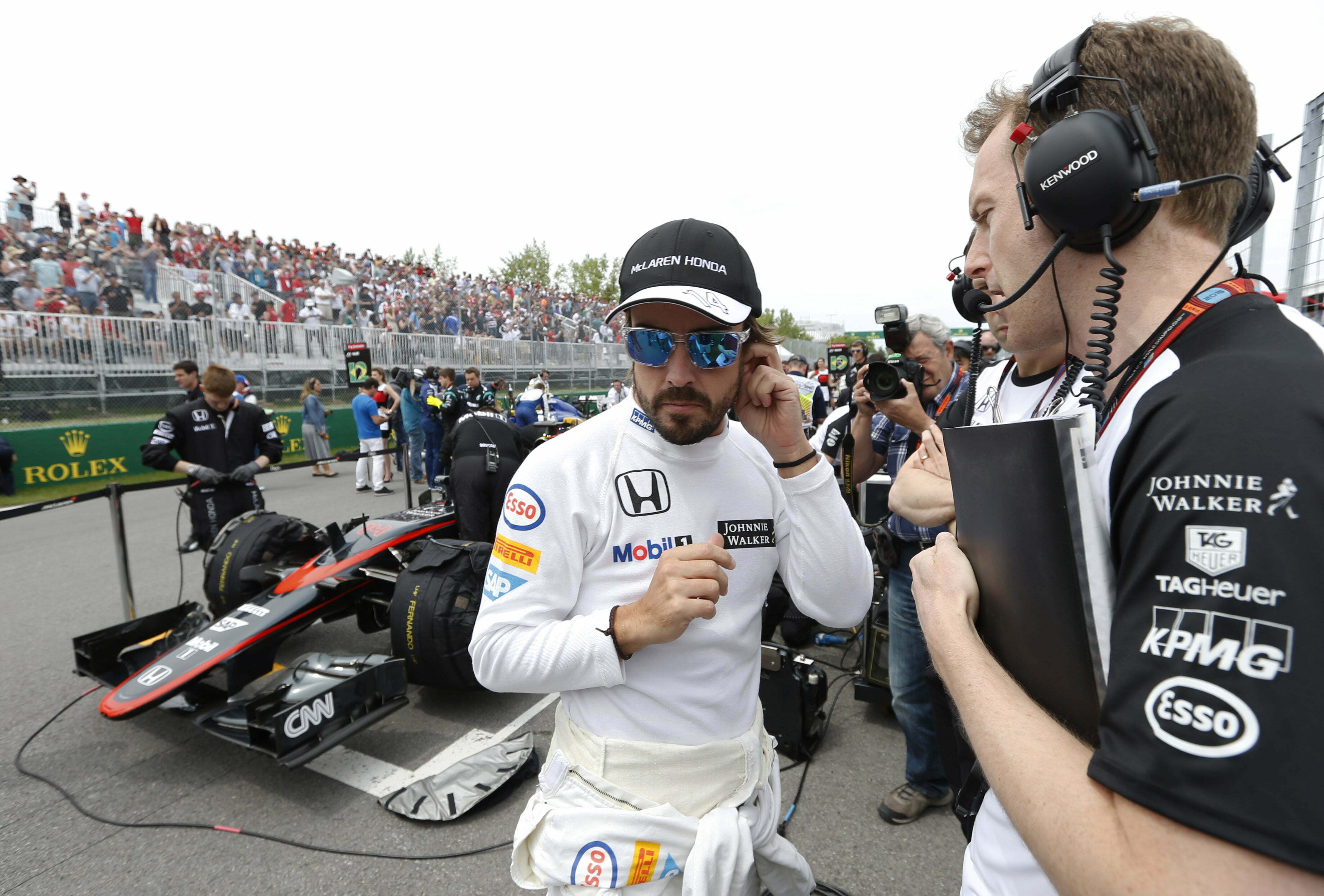 Fernando Alonso on the grid.